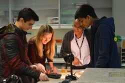 Solar Cells Workshop