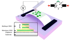 afm strain