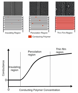 percolation threshold