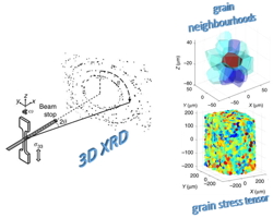 strong neighbour grains