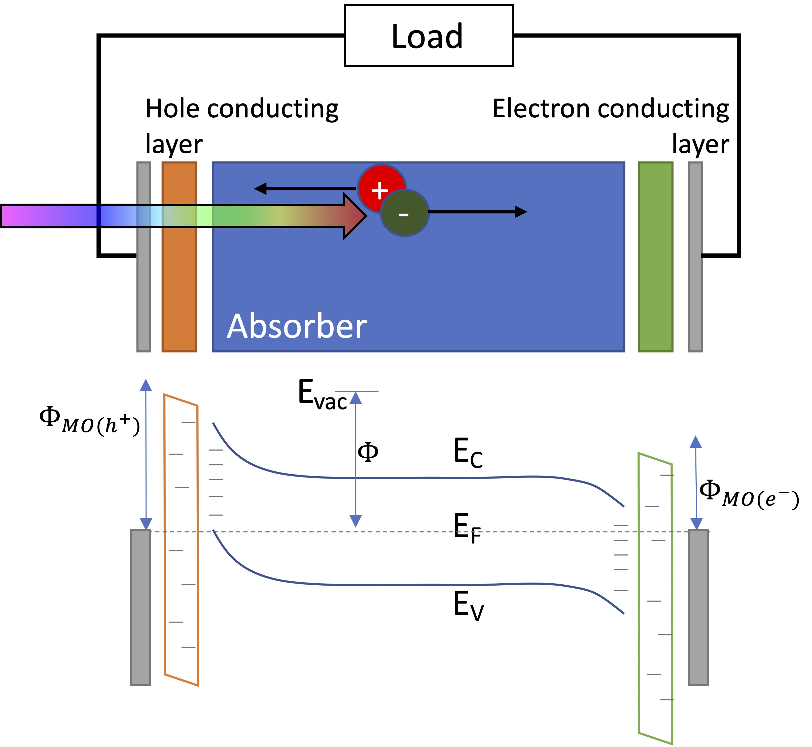 Local Passivating and Carrier Selective Contacts for NextGeneration