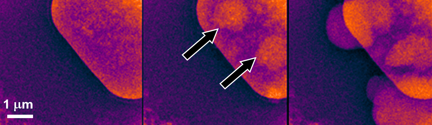 Time sequence TEM during reaction Time sequence TEM during reaction