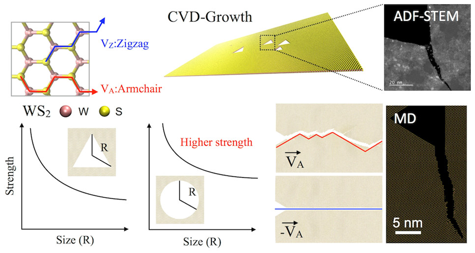 Anisotropic Fracture Dynamics