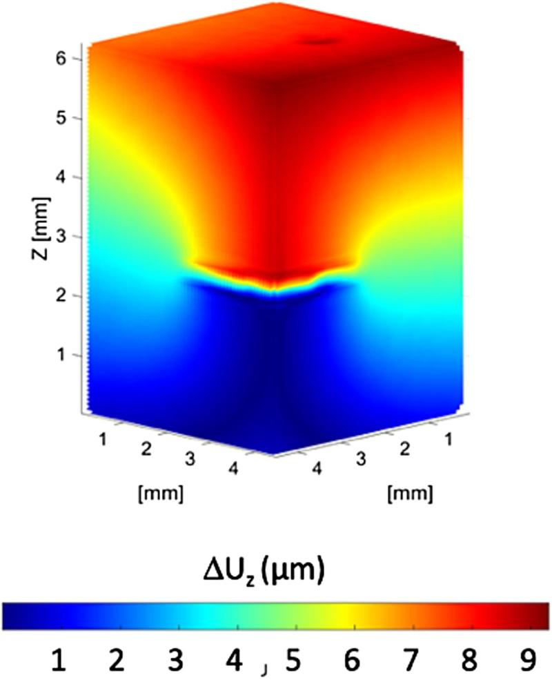 3D displacement field measured by digital volume correlation at 290k cycles