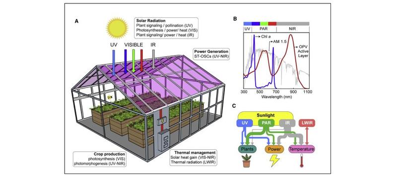 A compilation of agrivolataics based on organic photovoltaics