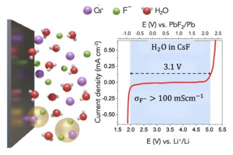 A representation of the ionic species in the bulk and the electrode interface