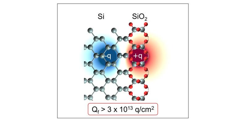 A representative of the sample