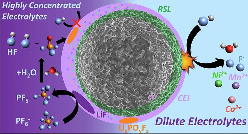 A schematic of highly concentrated electrolytes and dilute electrolytes bouncing off a cell