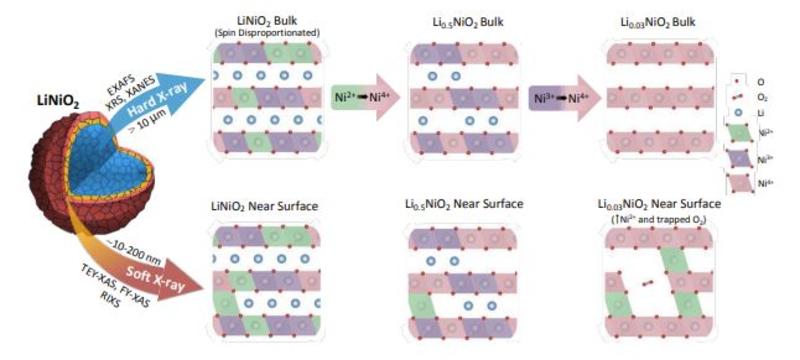 An illustration of the data extracted from the sample