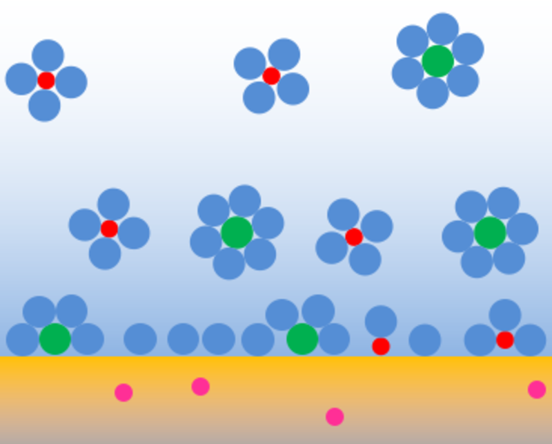 Electrode-Electrolyte Interface