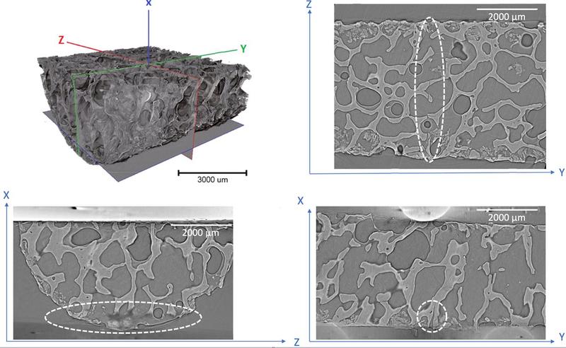 Cross-sections through 3D tomograph of a crack in bone