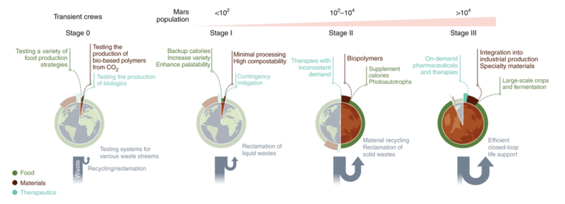 food materials and therapeutics timeline