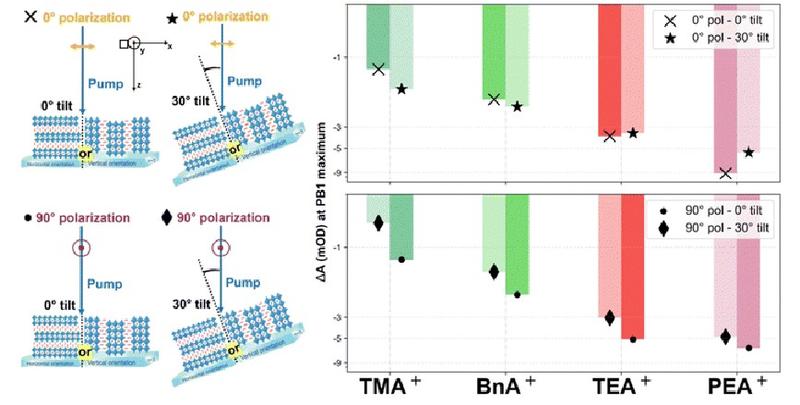 Graphical illustration of the set up configurations adopted for the TAS measurement, and a representation of the photobleaching
