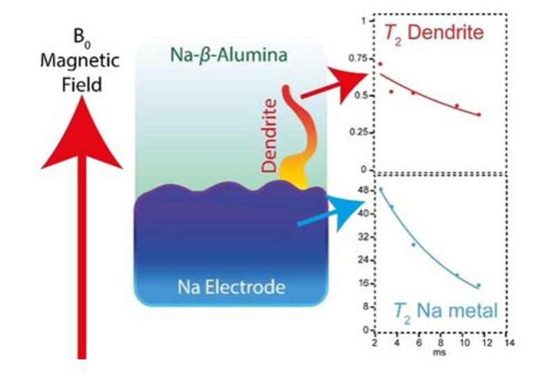 illustration of magnetic field and na electrode with dendrite