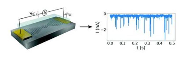 gating device trapping charges at the disordered graphene edges for tuning 