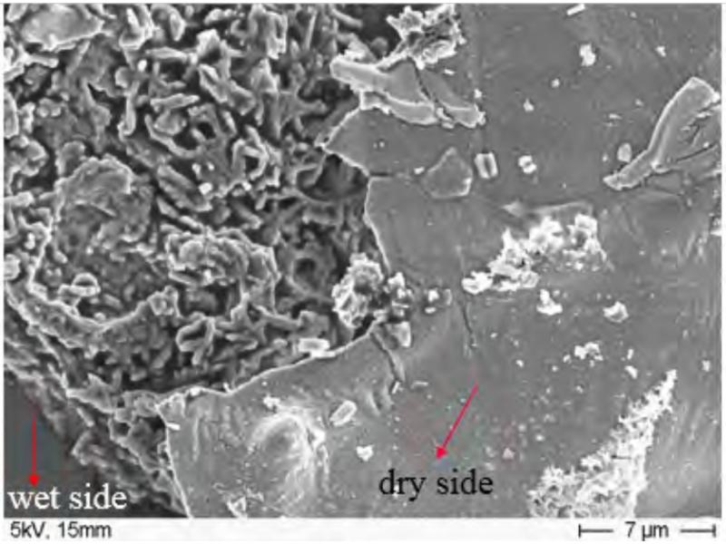 Intrinsic oxides