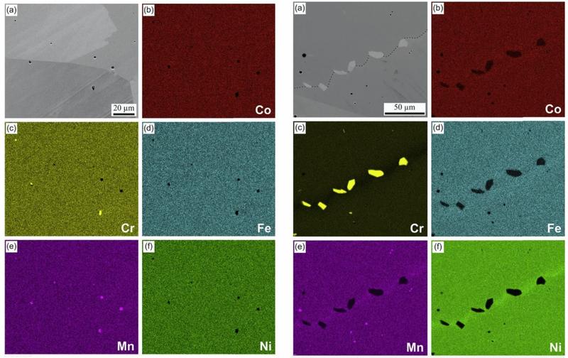 Many tiles illustrating various magnifications of samples