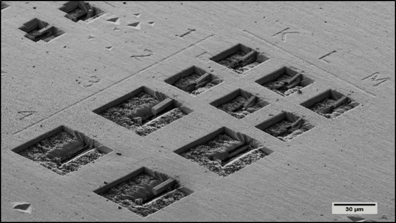 microcantiler array