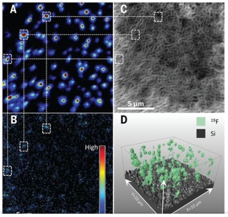 Distribution of the 19F− signals through the perovskite layer