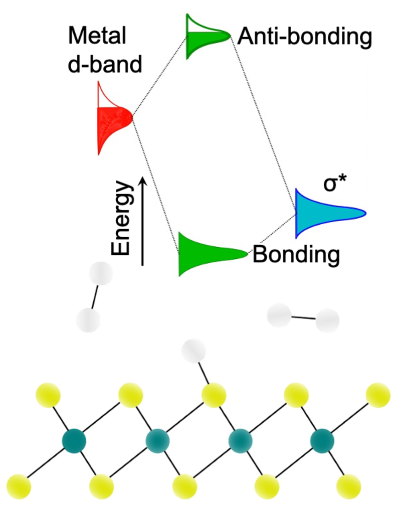 2D Material Electrocatlyst phd figure
