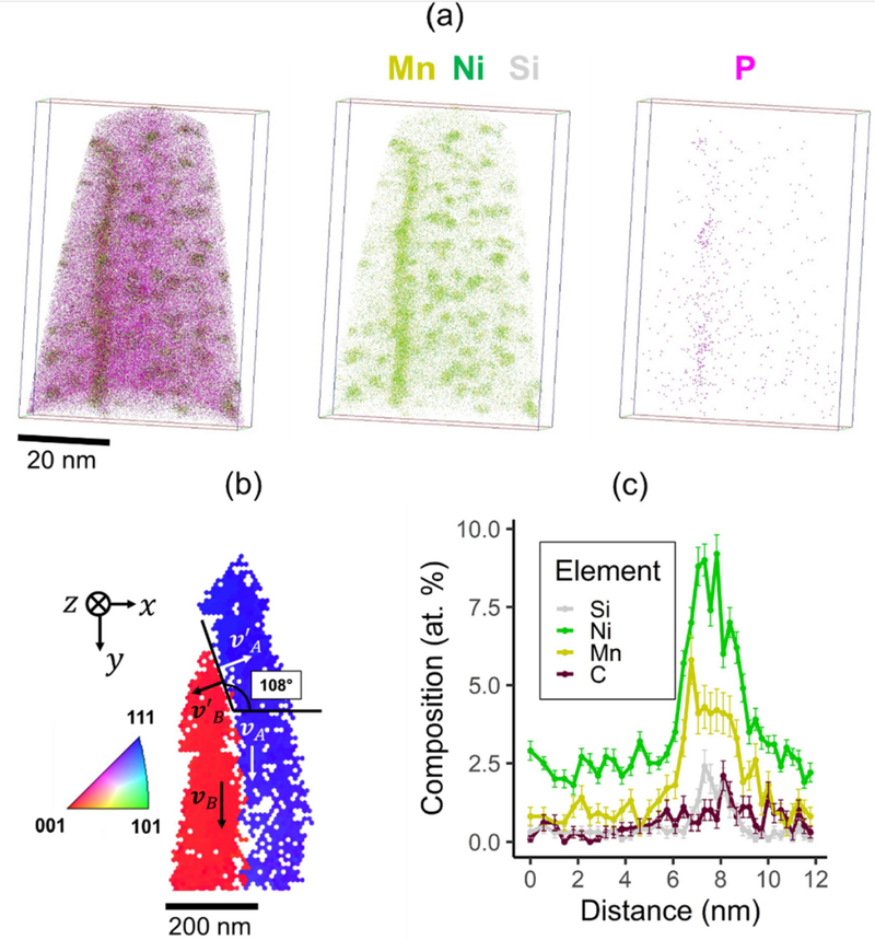 Pictorial representation of the samples plotting elements and atom probe image