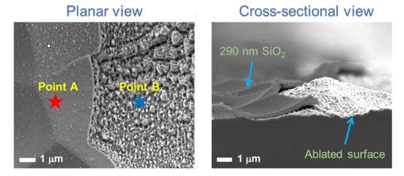 Planar and cross sectional views from SEM of the sample