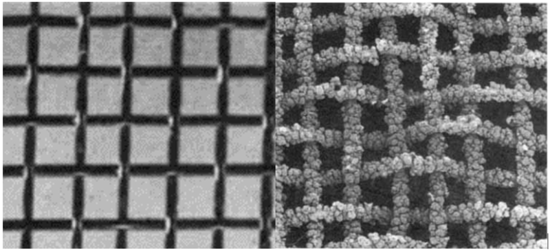 SEM images of catalyst growths on gauze