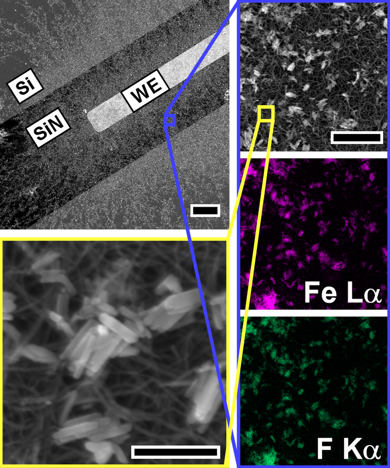 Transmission electron microscopy and microanalysis