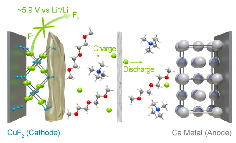 Fluoride Ion Battery