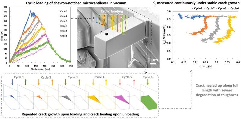 Schematic of the data obtained from cycle loading and continuous measuring of the sample