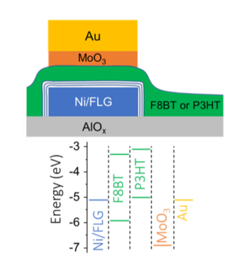 schematic representation of the device structure used