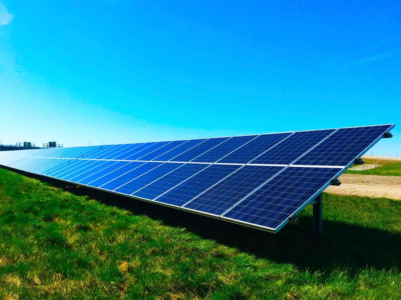 Solar panels in a field