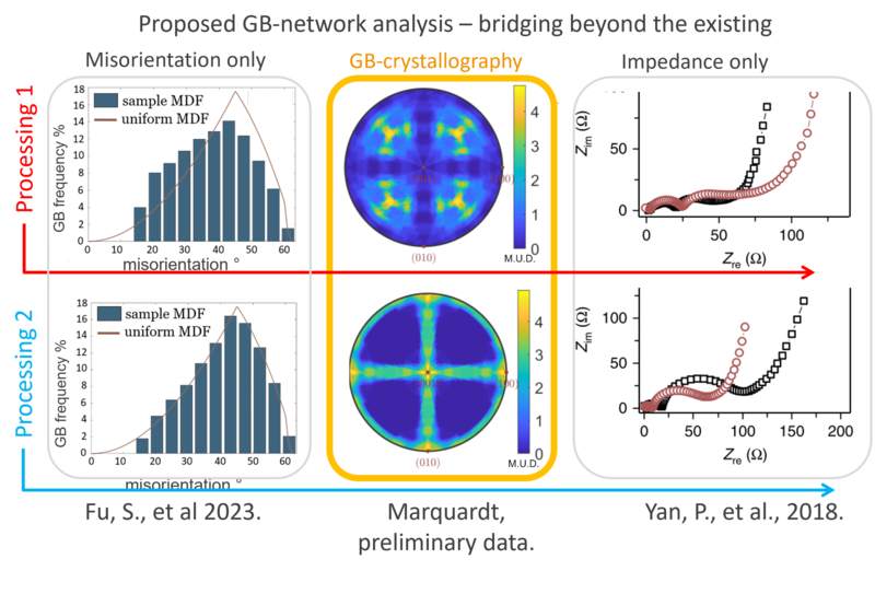 Grain boundary network analysis of solid state batteries