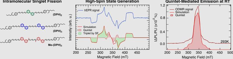 Three data sets  intramolecular singlet fission high spin state generation and quintet mediated emissions at RT