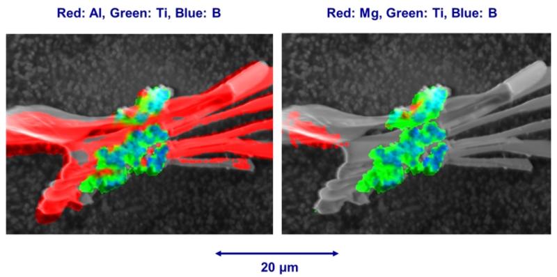 TiB2 nucleation