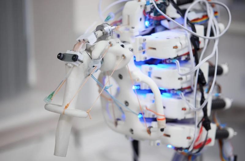 2025 09 12 bioreactor image pierre alexis mouthu