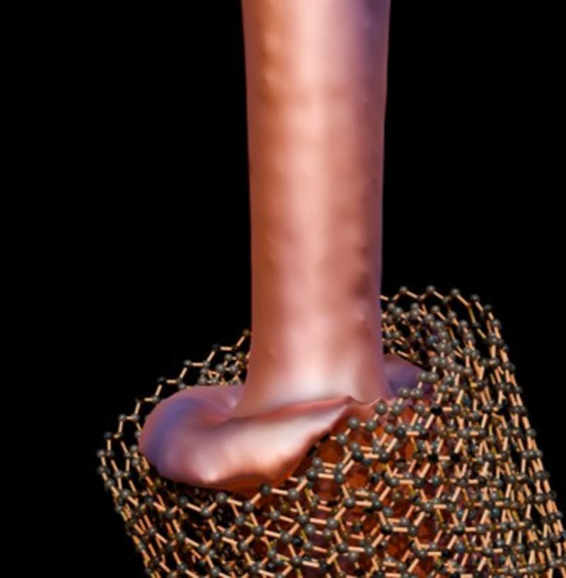 A graphical illustration of the liquid-phase growth of nanowires within the combined core of a multi-walled carbon nanotube