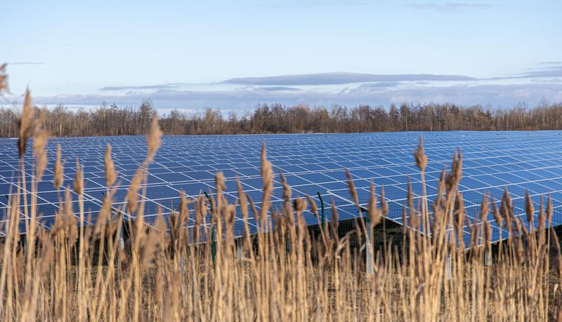 Solar panels, as part of a solar farm in a crop field  