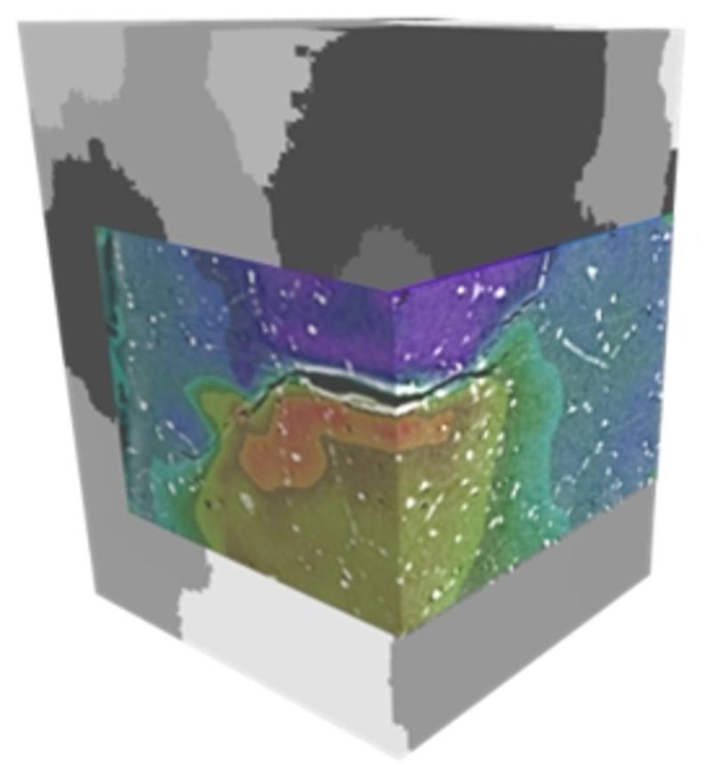 3D Mapping of fatigue crack opening displacements by digital volume correlation