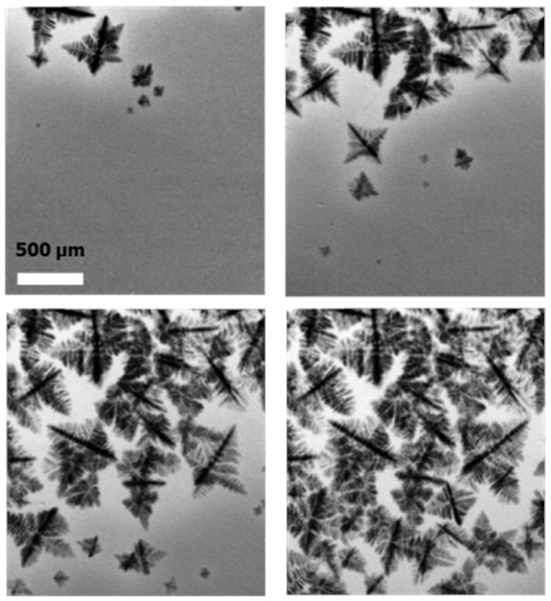 Time series of solidification in Al