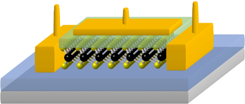 2D field effect transistor based on MoS2 2D field effect transistor based on MoS2