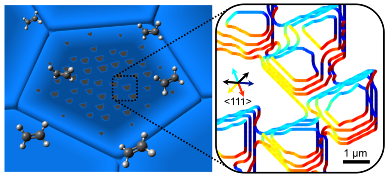 2D material Growth