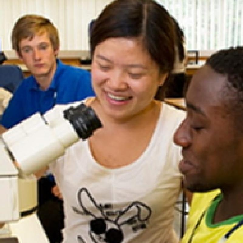 Students learning to use optical microscopes