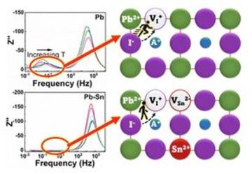 A representation of the sample's Hz frequency