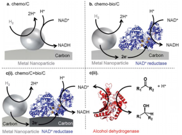 guide to h2 driven nadh generation using carbon supported metal nanoparticles