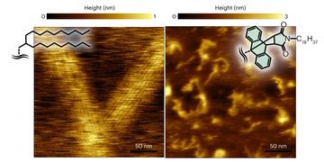 Two tile representation of atomic force microscopy heights deposited on highly oriented pyrolytic graphite