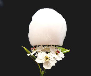 3D ceramic fibre assembly on flower