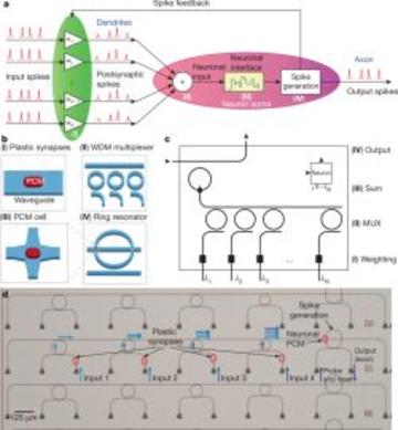 Optical Neural Network