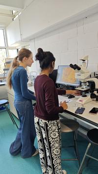 RIIU Microscopy practical