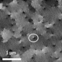 Electron Chanelling Contrast Imaging